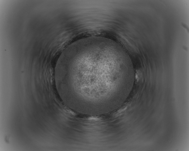 X0000091360867200708241308