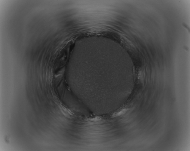 X0000091360868200708241308