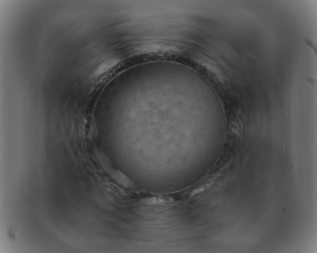 X0000091360869200708241308