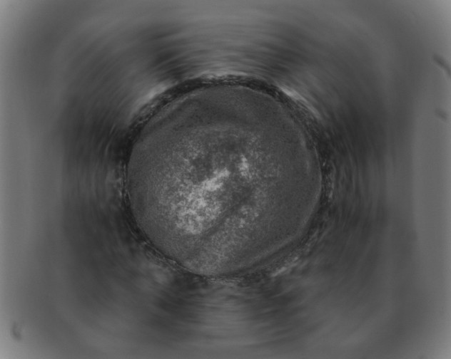 X0000091360870200708241308