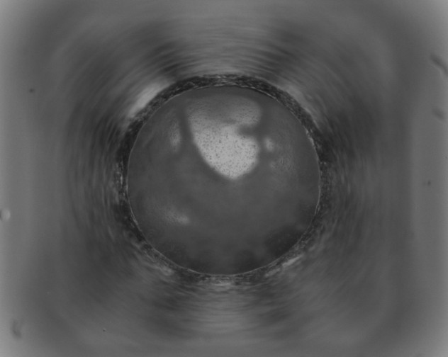 X0000091360871200708241308