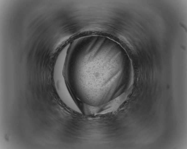 X0000091360872200708241308