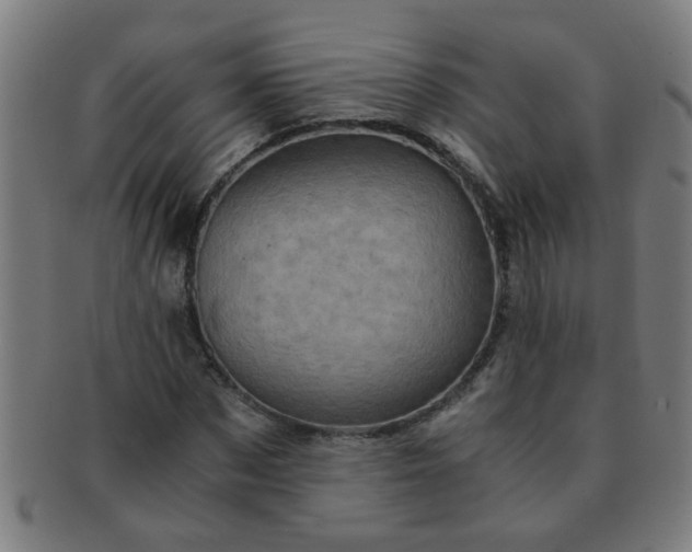 X0000091360873200708241308