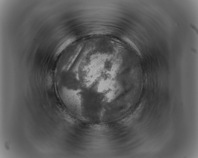 X0000091360874200708241308