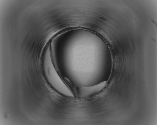 X0000091360876200708241308