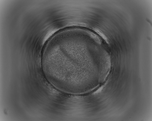 X0000091360877200708241308