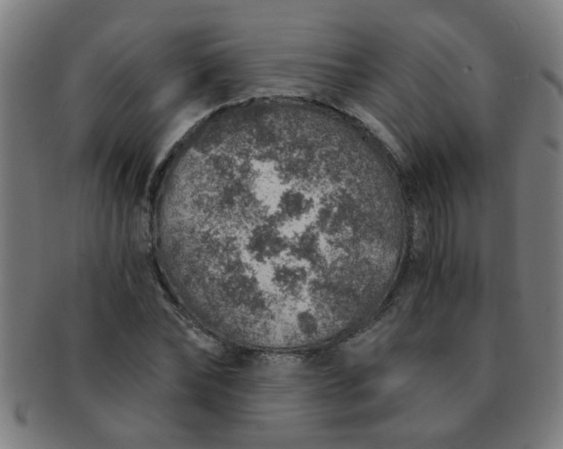 X0000091360878200708241308