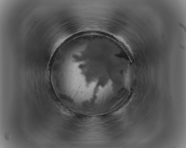 X0000091360879200708241308