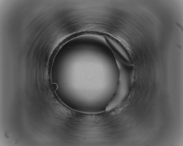 X0000091360880200708241308
