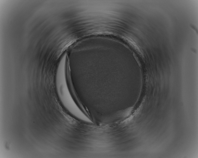 X0000091360881200708241308