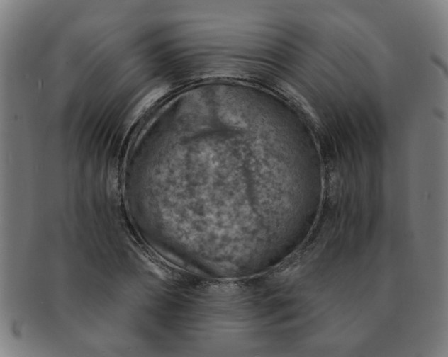 X0000091360882200708241308