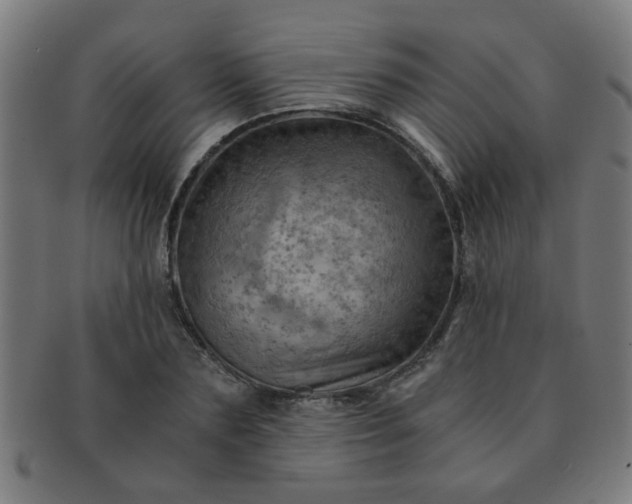 X0000091360883200708241308