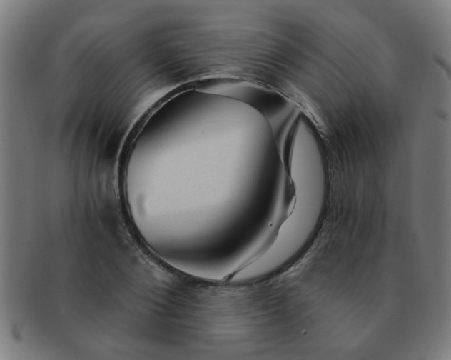 X0000091360884200708241308