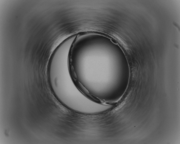 X0000091360885200708241308