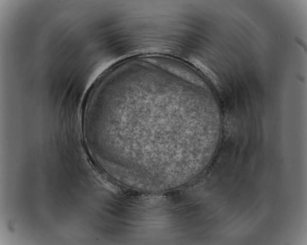 X0000091360886200708241308
