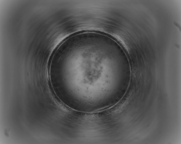 X0000091360887200708241308