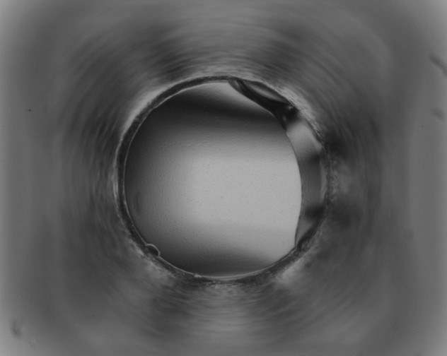 X0000091360888200708241308
