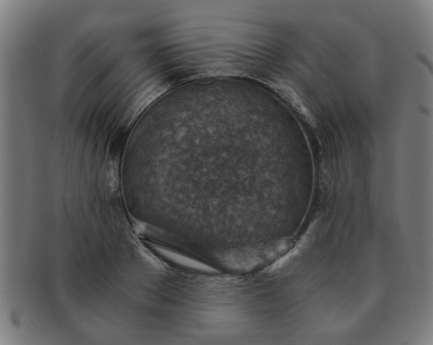 X0000091360889200708241308