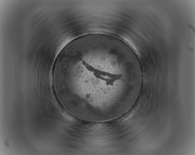 X0000091360891200708241308