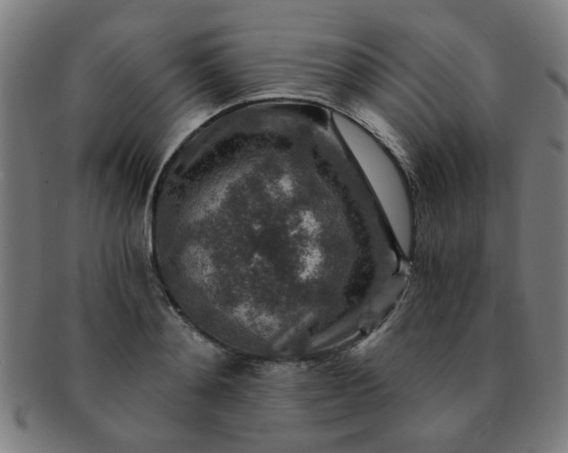 X0000091360892200708241308