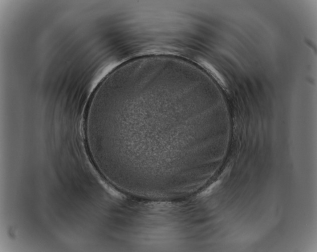 X0000091360893200708241308