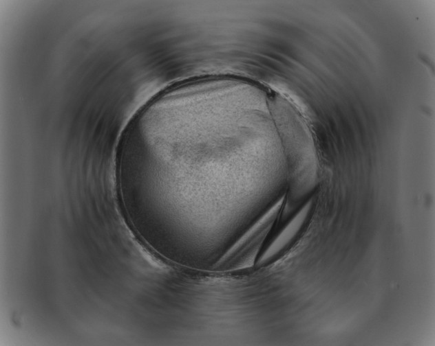 X0000091360894200708241308