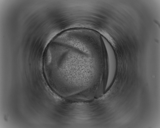 X0000091360896200708241308