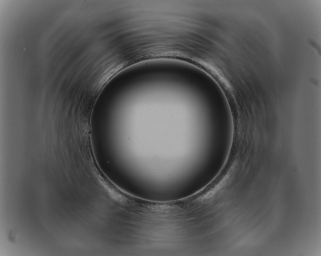X0000091360897200708241308