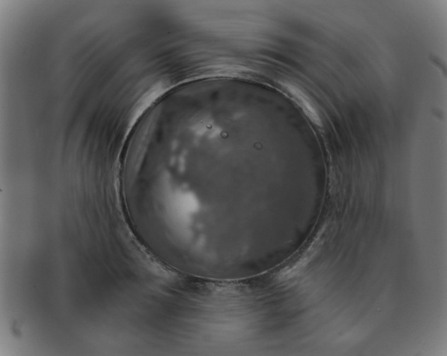 X0000091360899200708241308