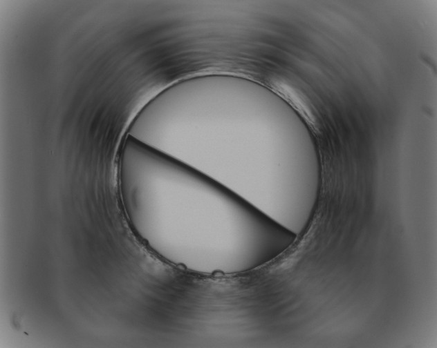 X0000091360900200708241308