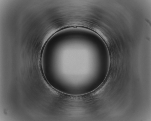 X0000091360901200708241308
