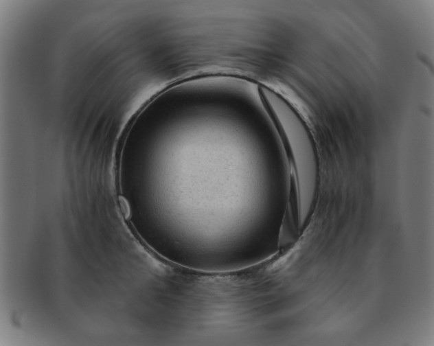 X0000091360902200708241308