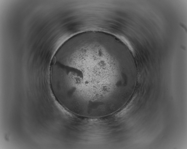 X0000091360903200708241308