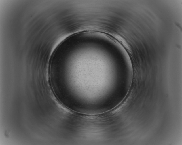 X0000091360904200708241308