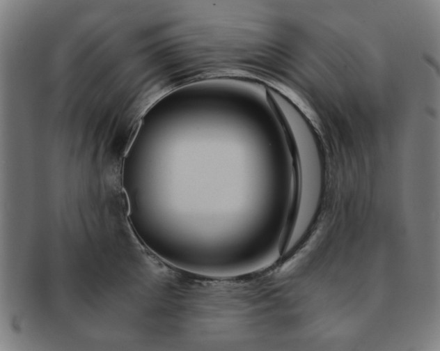 X0000091360905200708241308