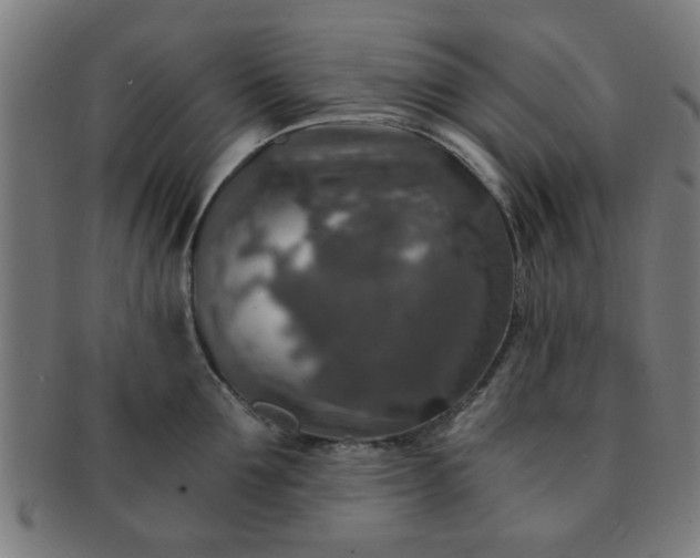 X0000091360907200708241307