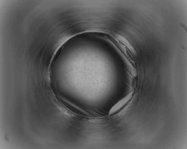 X0000091360908200708241307