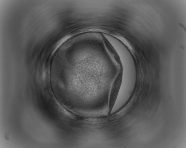X0000091360910200708241307