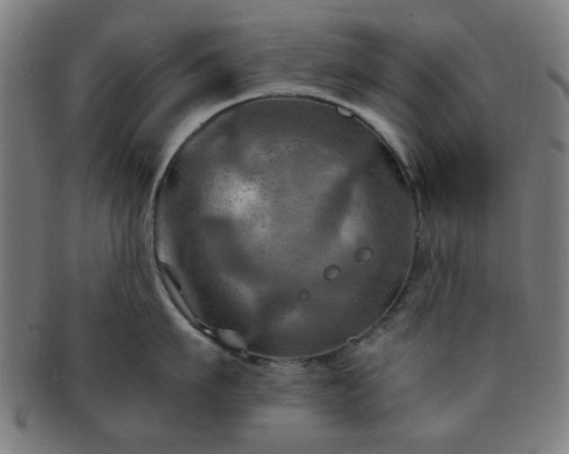 X0000091360911200708241307
