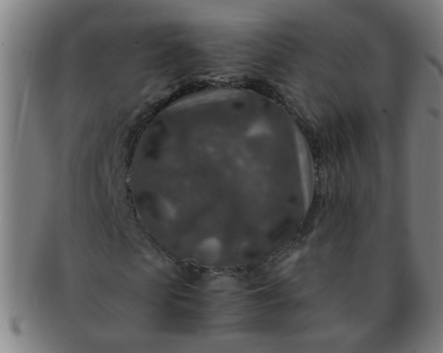 X0000091360913200708241307
