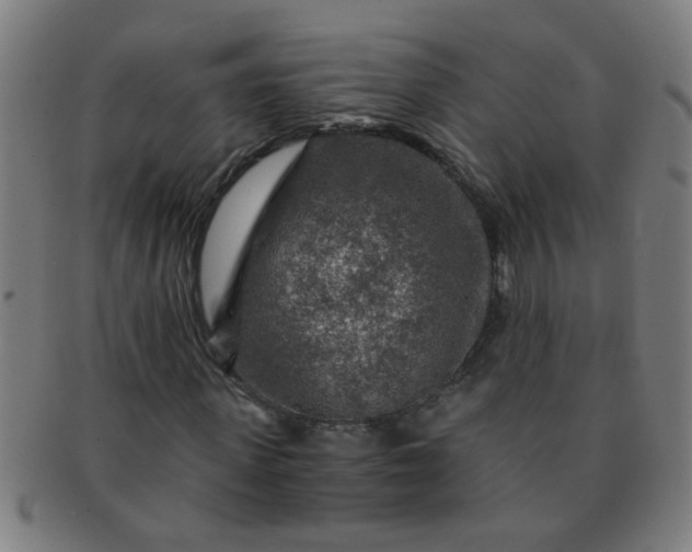 X0000091360915200708241307