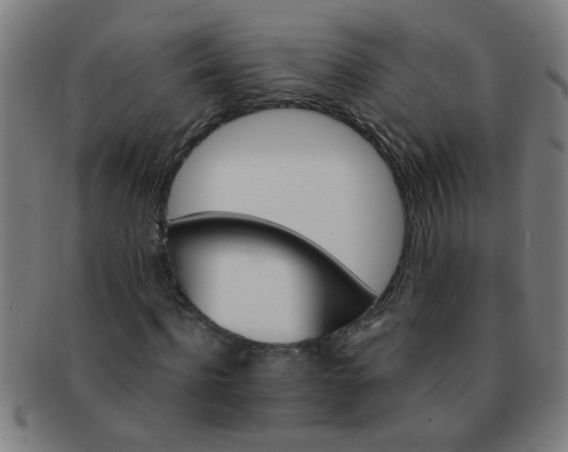 X0000091360916200708241307