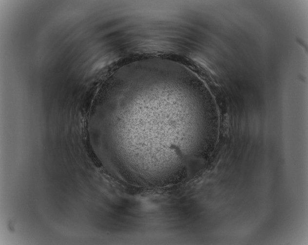 X0000091360917200708241307