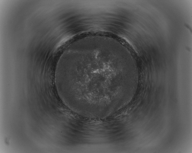 X0000091360919200708241307