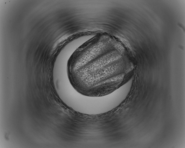 X0000091360920200708241307