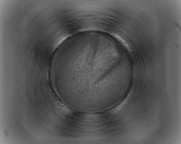 X0000091360921200708241307