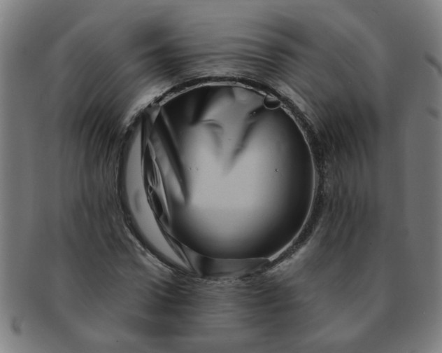X0000091360922200708241307