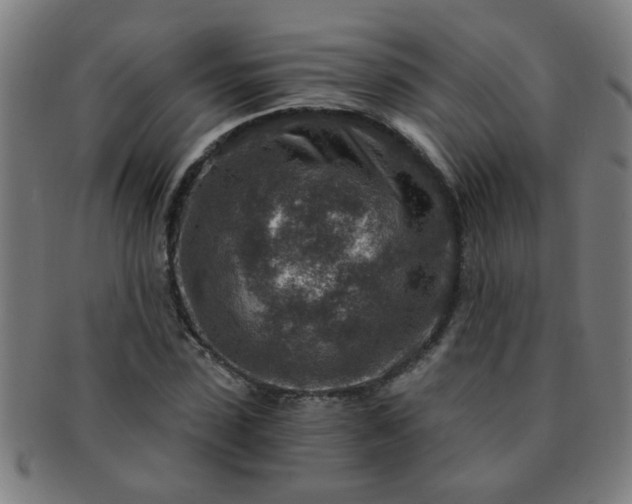 X0000091360923200708241307