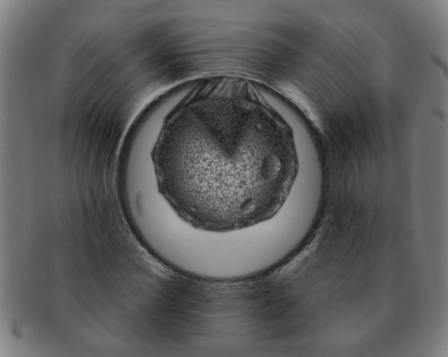 X0000091360924200708241307
