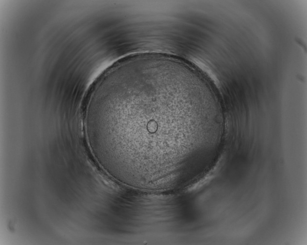 X0000091360925200708241307